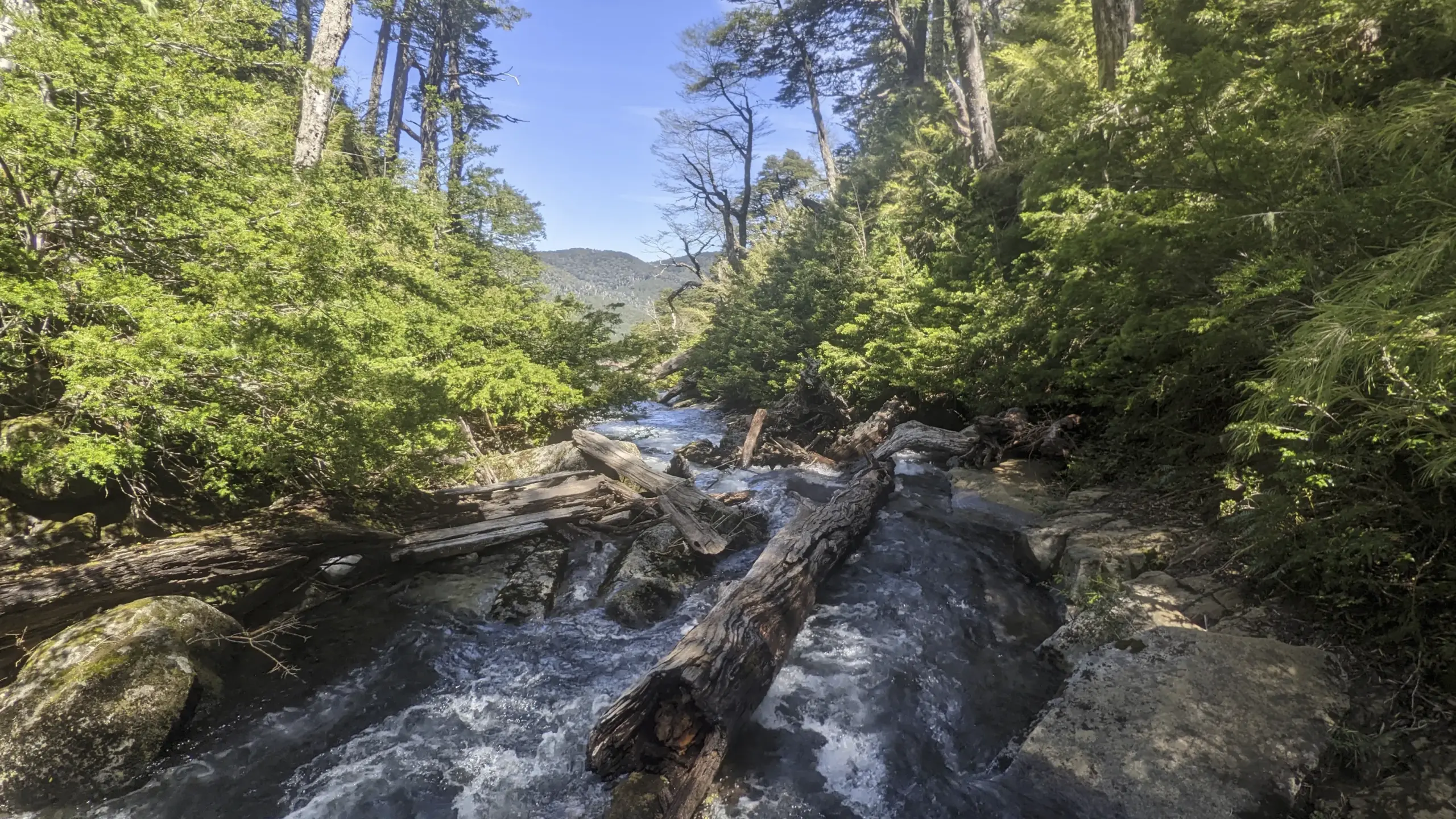 Paisaje de Huerquehue. 